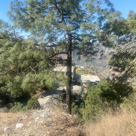 Aditya Homestay Dalhousie Exterior photo