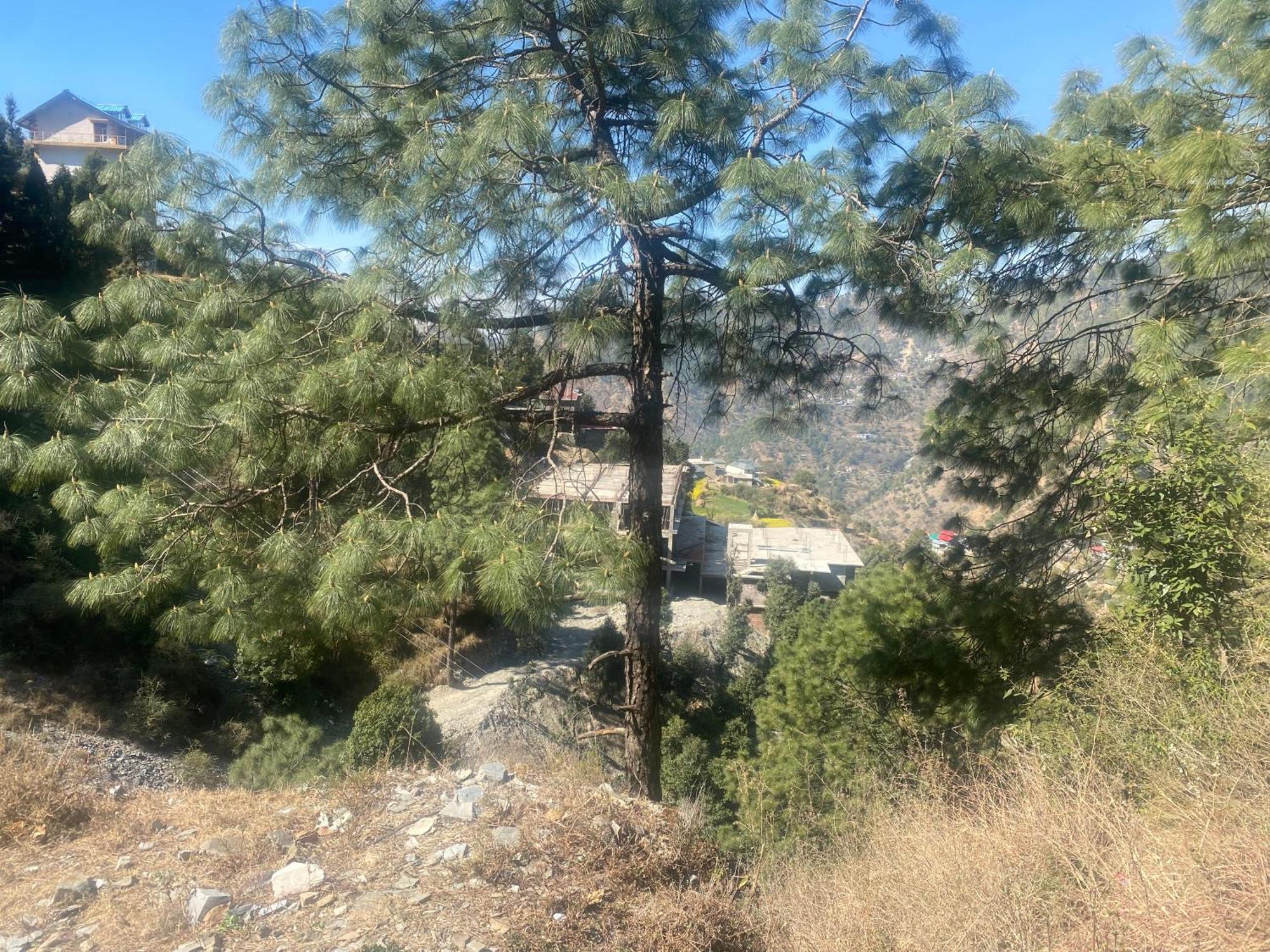 Aditya Homestay Dalhousie Exterior photo